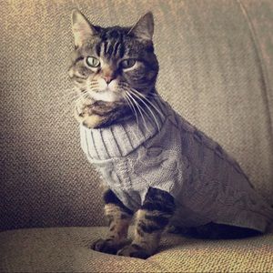 Meet your Posher, Cedric